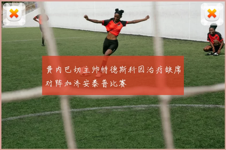 费内巴切主帅特德斯科因治疗缺席对阵加济安泰普比赛