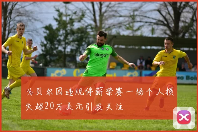 戈贝尔因违规停薪禁赛一场个人损失超20万美元引发关注