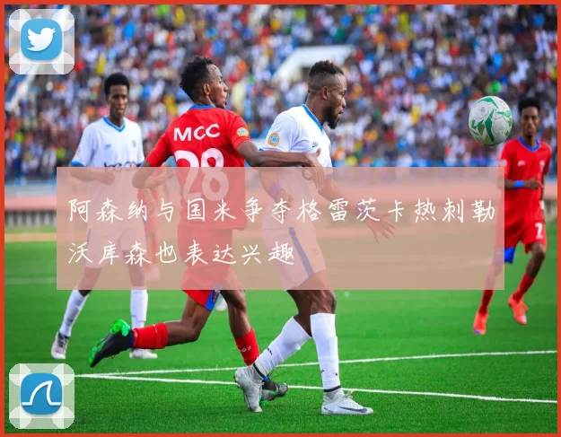 阿森纳与国米争夺格雷茨卡热刺勒沃库森也表达兴趣